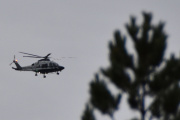 Morten 30 oktober 2022 - Politihelikopter over Høyenhall, det sitter faktisk en fugl i treet, vi ser den bare ikke