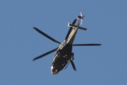 Morten 11 november 2022 - Politihelikopter over Høyenhall igjen. At det er Politiets nest nyeste helikopter er det ingen tvil om, så jeg følger den så godt jeg kan