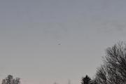 Morten 13 desember 2022 - Politihelikopter over Høyenhall igjen. Da fikk vi med månen og den bråkete gravemaskinen også