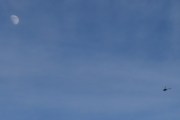 Morten 11 februar 2022 - Robinson R44 over Høyenhall