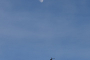 Morten 11 februar 2022 - Robinson R44 over Høyenhall