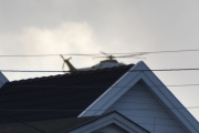 Morten 29 januar 2022 - Politihelikopter over Høyenhall
