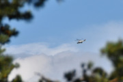 Morten 16 juli 2022 - Politihelikopter over Hvitsten igjen