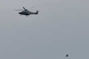 Morten 31 juli 2022 - Politihelikopteret over Høyenhall igjen, dette må vi feire med en fugl