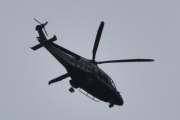 Morten 11 juni 2022 - Politihelikopter over Høyenhall