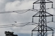 Morten 16 juni 2022 - Helikopter over Høyenhall, kan det være en Bell 412HP?