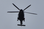Morten 8 juni 2022 - Politihelikopter over Høyenhall på kvelden