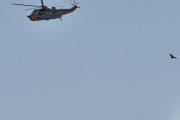 Morten 18 mars 2022 - Sea King 189 over Høyenhall, her kommer det noen fugler til