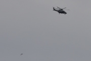 Morten 27 mars 2022 - Politihelikopteret og en måke