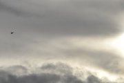 Morten 2 november 2022 - Politihelikopter over Høyenhall, klokken er 13.43. Solen tittet frem i 10 minutter og da var dem der