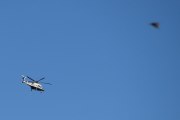 Morten 19 oktober 2022 - Politihelikopter over Høyenhall, vi fikk med oss en fugl på veien tilbake