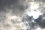 Morten 15 september 2022 - LN-OGS besøker Høyenhall, han kommer rett imot meg og solen går bak en sky
