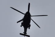 Morten 2 september 2022 - Politihelikopter besøker Høyenhall, jeg vet aldri hva dem skal finne på