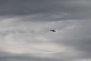 Morten 2 september 2022 - Politihelikopter over Høyenhall, blir en ny vinkling - dette ser jeg om morgenen fra verandaen