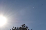 Morten 21 september 2022 - Politihelikopteret over Høyenhall, solen fikk vi med, men ingen fugl i treet