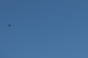 Morten 16 august 2023 - Norsk Luftambulanse over Høyenhall, men vi fikk med et stort fly på høyre side