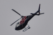 Morten 25 august 2023 - Helitrans over Høyenhall, jeg har funnet 13 av dere nå, så det kommer seg