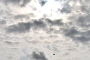 Morten 31 august 2023 - Politihelikopter over Høyenhall