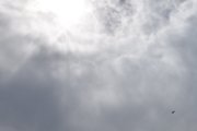 Morten 4 august 2023 - LN-ORA over Høyenhall, hvor mange bilder jeg har av den med solen, vet jeg ikke. Men vi har også månen, store fly, småfly og selvfølgelig fugler også
