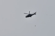 Morten 4 august 2023 - Politihelikopter over Høyenhall, du har nemlig 5 låvesvaler rundt deg