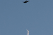 Morten 24 juni 2023 - Politihelikopter over Høyenhall på kvelden, men da fikk vi med månen og så sier jeg god natt