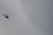 Morten 3 august 2023 - Politihelikopter over Høyenhall, jeg ser den ofte, men ikke alltid med en fugl