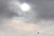 Morten 4 juli 2023 - Politihelikopter over Høyenhall, da fikk vi med det som var av solen