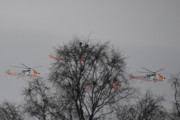 Morten 11 desember 2023 - Fire Sea King over Høyenhall, her fikk vi med et par skjærer også. Nå skal dem på museum, en skal til Forsvarets flysamling Gardermoen, en til Flyhistorisk Museum Sola, en til Norsk Luftfartsmuseum  i Bodø og en til Ørlandet, hvor det skal bygges en ny hall som blir ferdig sommeren 2024
