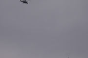 Morten 22 desember 2023 - Politihelikopter over Høyenhall igjen, da fikk vi med den første fuglen