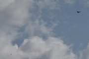 Morten 1 juli 2023 - Politihelikopteret og solen over Høyenhall, her kommer Tiger Moth også