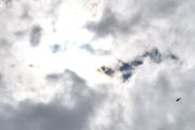 Morten 13 juli 2023 - LN-ORB besøker Høyenhall, men så var det alle de andre bildene av et politihelikopter da, jeg torde ikke å dokumentere dem på den tiden