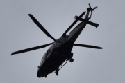 Morten 25 juli 2023 - Kl. 13.12 Politihelikopter over Høyenhall. Husker dere i gamledager når jeg måtte legge klokkeslett til bildene når jeg ble stressa? Den her fikk jeg ikke tak i forresten...
