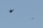 Morten 29 juli 2023 - Politihelikopter over Høyenhall, vi tar med en måke også i samme slengen