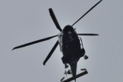 Morten 30 juli 2023 - LN-ORA besøker Høyenhall, det var så dårlig vær i dag, så jeg skvatt når Politihelikopteret kom