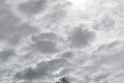Morten 4 juli 2023 - LN-OUH over Høyenhall, her fikk vi dem sammen med det som er av solen