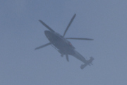 Morten 4 juli 2023 - Politihelikopter rett over Høyenhall, dette går ikke mer, så jeg gir meg for i kveld