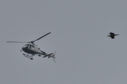Morten 20 juni 2023 - LN-OSK besøker Høyenhall, det er Pegasus Helicopter som kommer med sin Airbus H125 fra 2023 og her fikk vi med en fugl