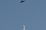 Morten 24 juni 2023 - Politihelikopter over Høyenhall på kvelden, men da fikk vi med månen og så sier jeg god natt