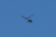 Morten 26 juni 2023 - Robinson R44 over Høyenhall, men jeg er ikke sikker, litt annen farge på denne her