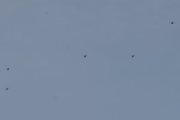Morten 26 mai 2023 - Fem Bell 412 Arapaho over Høyenhall, dette er et flott syn og den fine lyden da :-)