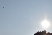 Morten 31 mai 2023 - LN-ORB over Høyenhall, jeg får deg med solen, men nå hører jeg et annet helikopter