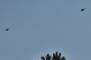 Morten 31 mai 2023 - To Bell 412 Arapaho i formasjon over Høyenhall