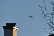 Morten 7 mai 2023 - Politihelikopter over Høyenhall, klokken er 20.16. Jeg har nettopp kommet hjem etter en lang tur