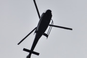 Morten 9 mai 2023 - PH-PDK besøker Høyenhall, og jeg er ganske sikker på at den kalles Airbus H120 også