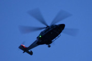 Morten 30 mars 2023 - Politihelikopteret besøker Høyenhall på kvelden. Jeg er stødig på hånda og det er ikke så kaldt