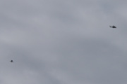 Morten 31 mars 2023 - Politihelikopter over Høyenhall