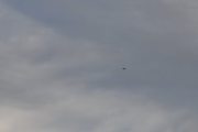 Morten 15 oktober 2023 - Politihelikopter over Høyenhall, og nå kan du telle 1-2-3-4 fugler
