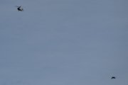 Morten 18 oktober 2023 - LN-ORC besøker Høyenhall, det er Politiets nyeste Leonardo AW169 fra 2019 som kommer, og nå fikk vi med en fugl