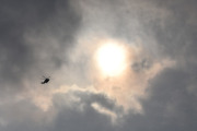 Morten 28 september 2023 - LN-ORA besøker Høyenhall, det er Politiet som kommer med sin første Leonardo AW169 fra 2019
