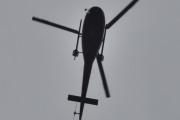 Morten 28 september 2023 - LN-OSM over Høyenhall, jeg har kikket litt på gamle bilder, kanskje jeg så deg 17 oktober 2020...